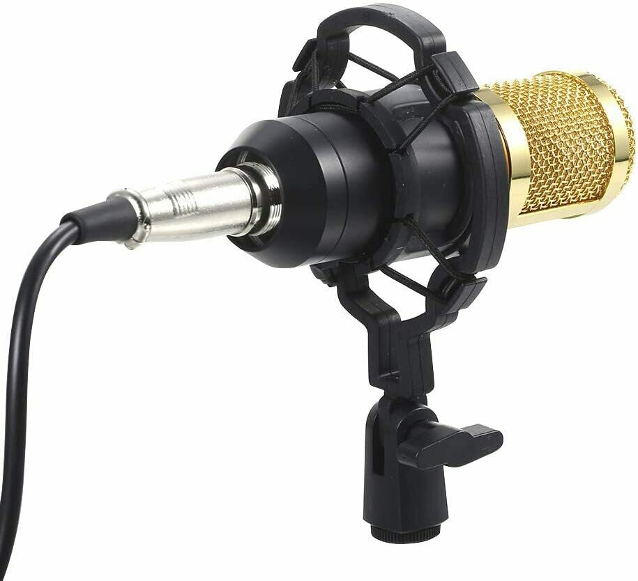 MIC CONDENSER BM 800 FULL