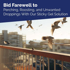 Bird-X Bird Proof Transparent Repellent Gel – Pigeon & Bird Control for Balcony, Home & Shop | ChenArabia UAE