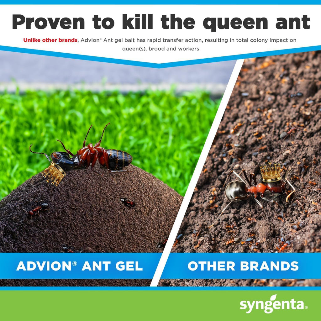 Advion Ant Bait Stations – 3 Pack (9 PCS) | Fast & Powerful Ant Killer | Long-Lasting Indoor & Outdoor Control – UAE’s No.1 Online Retailer