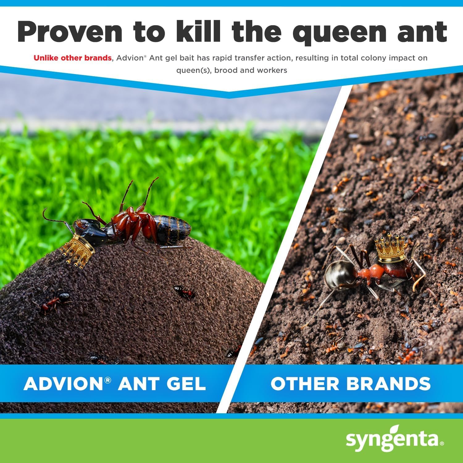 Advion Ant Bait Stations – 3 Pack (9 PCS) | Fast & Powerful Ant Killer | Long-Lasting Indoor & Outdoor Control – UAE’s No.1 Online Retailer