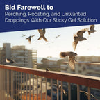Bird - X Transparent Bird Repellent Gel – Discreet Bird Proofing Solution for Homes & Buildings - Chenarabia